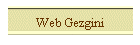 Web Gezgini