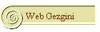 Web Gezgini